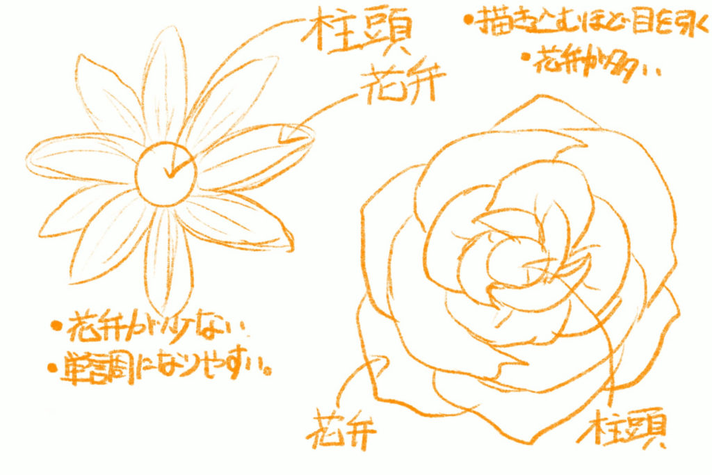 薔薇 イラスト 簡単 書き方