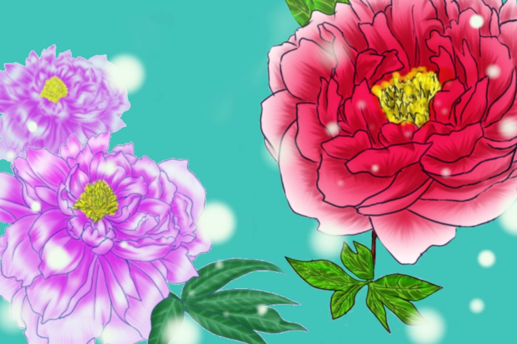 牡丹の花メイキング 色 表現も自由 5分でできる簡単カラーバリエーション