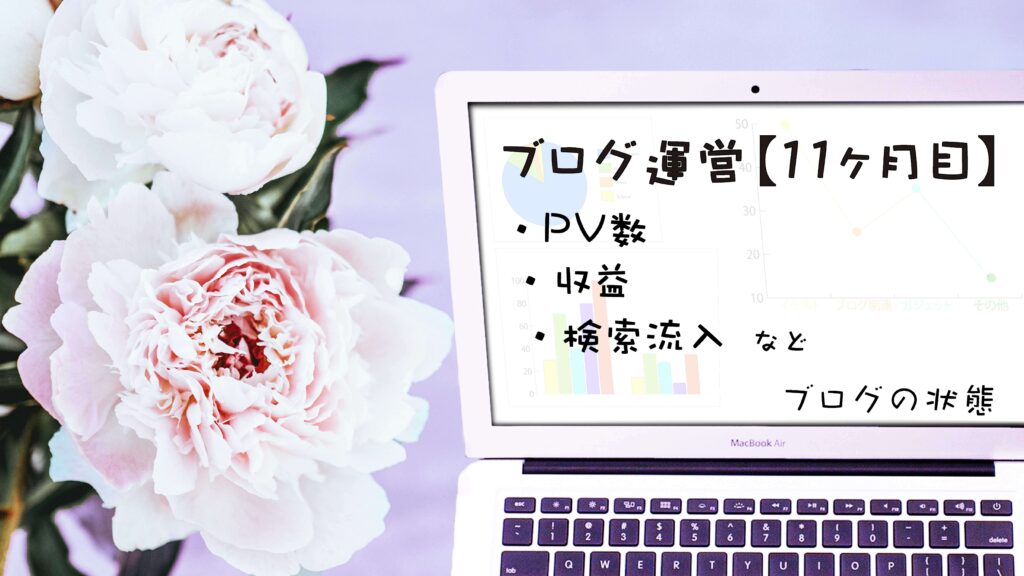 ブログ初心者 ブログ 収益 PV数 検索流入 ブログ運営 11ヶ月